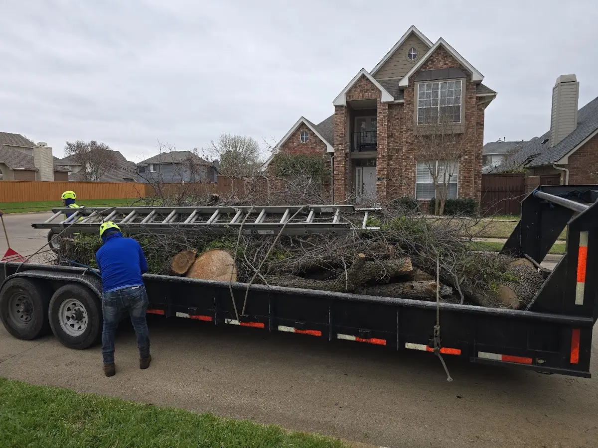 Expert Lot Clearing with proper safety equipment in Gasport